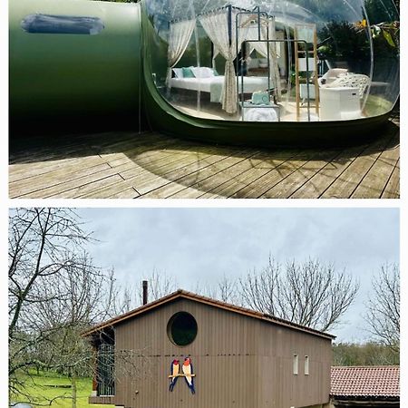 Remanso De Trasfontao Casa Das Arbores & Bubble 西利达 外观 照片