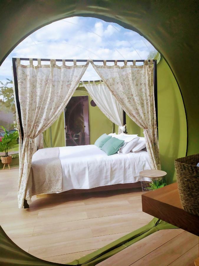 Remanso De Trasfontao Casa Das Arbores & Bubble 西利达 外观 照片