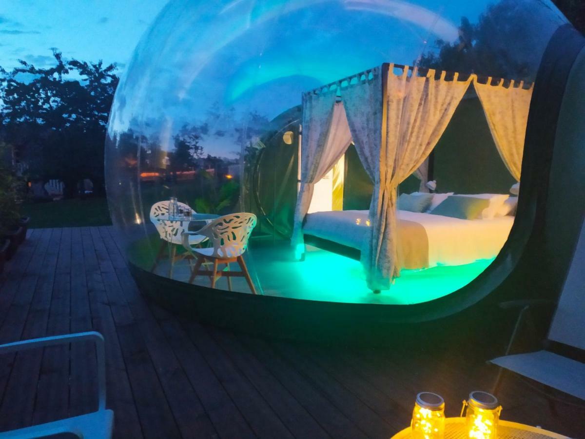 Remanso De Trasfontao Casa Das Arbores & Bubble 西利达 外观 照片