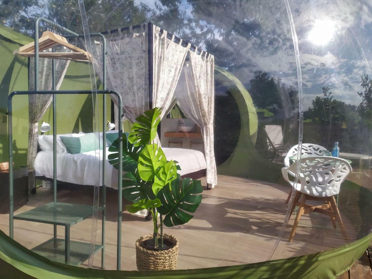 Remanso De Trasfontao Casa Das Arbores & Bubble 西利达 外观 照片
