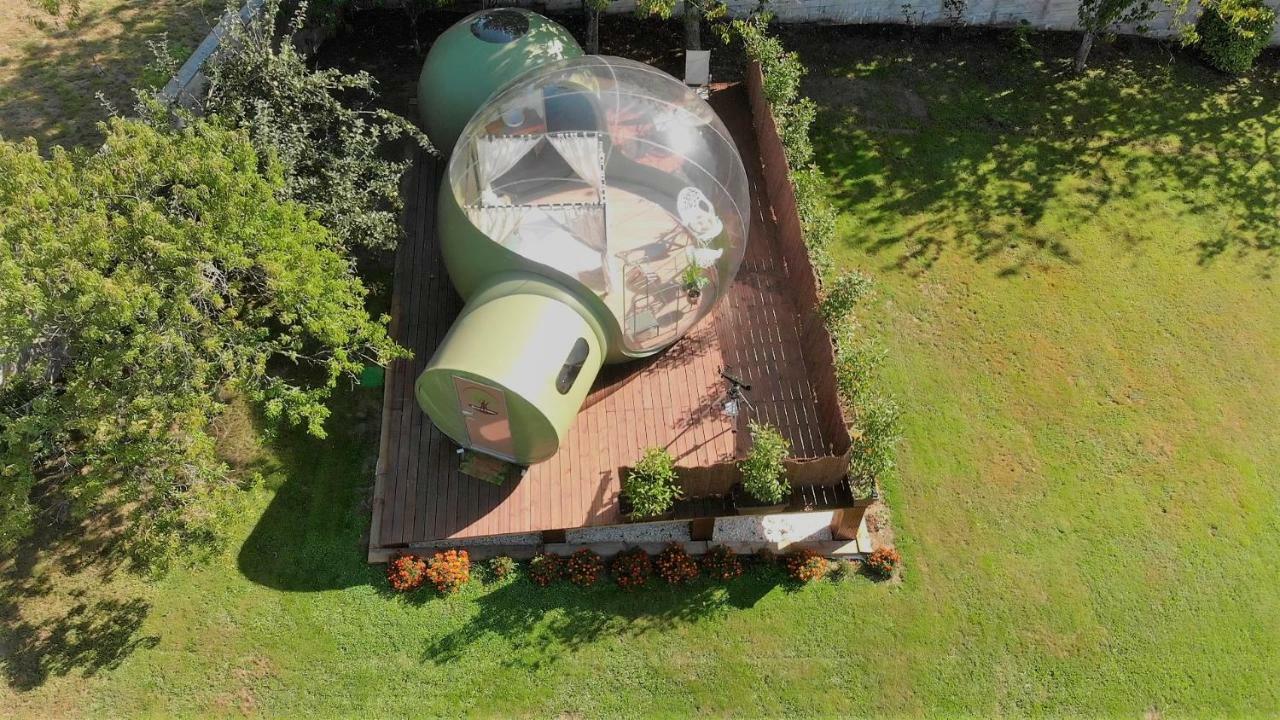 Remanso De Trasfontao Casa Das Arbores & Bubble 西利达 外观 照片