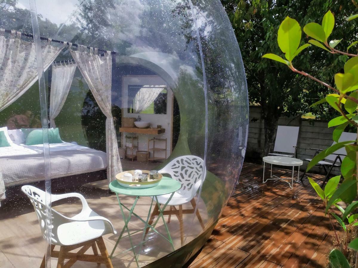 Remanso De Trasfontao Casa Das Arbores & Bubble 西利达 外观 照片